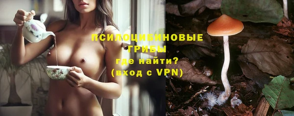 дмт Липки