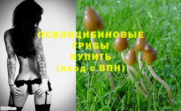 дмт Липки