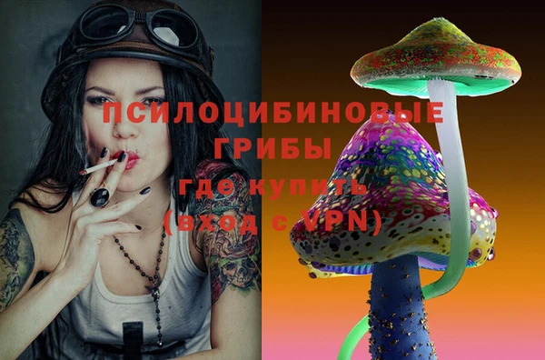 винт Сафоново